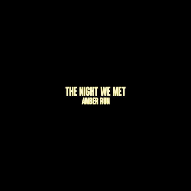 The Night We Met cover
