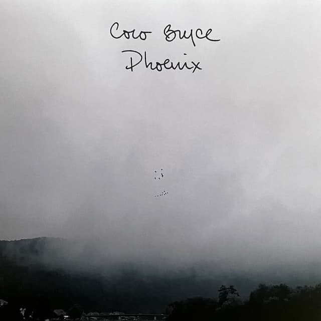 Phoenix album cover