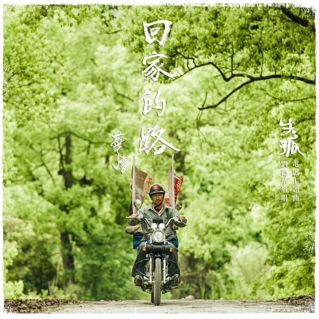 The Way Back Home cover