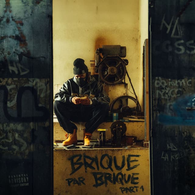 VICES DU HALL cover