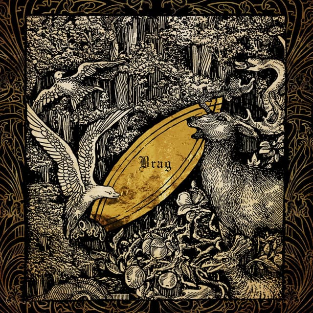 Brag cover
