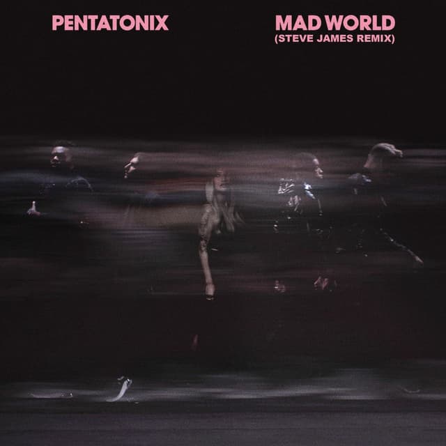 Mad World (Steve James Remix) cover
