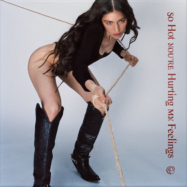 So Hot You're Hurting My Feelings cover