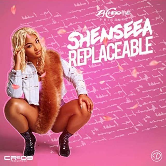Replaceable cover