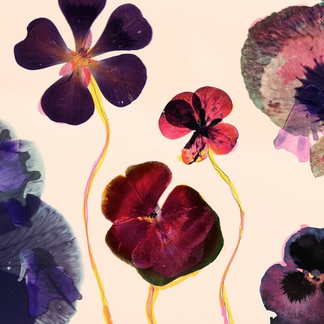 Flowers cover