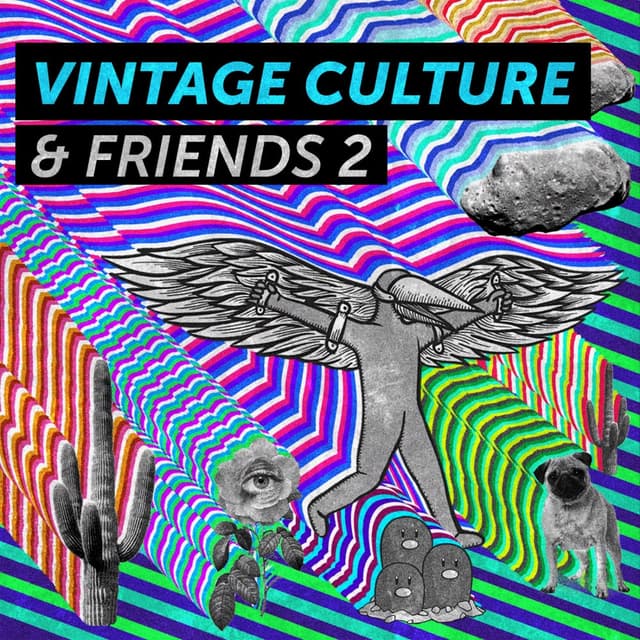 Vintage Culture & Friends 2 cover