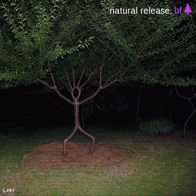 Natural Release cover