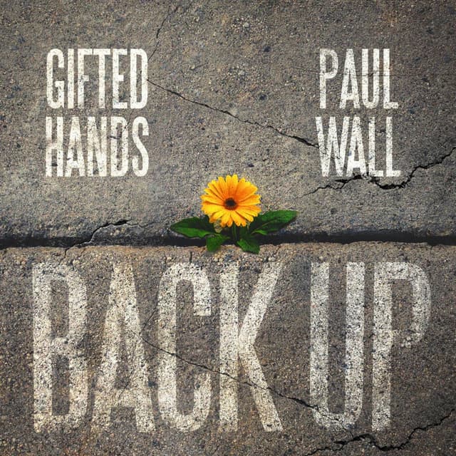 Back Up cover