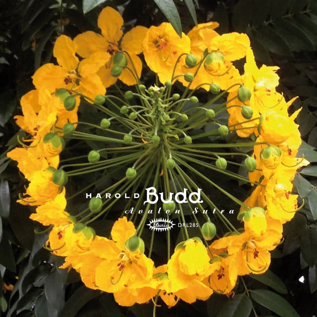 Avalon Sutra (2013 Remaster) cover