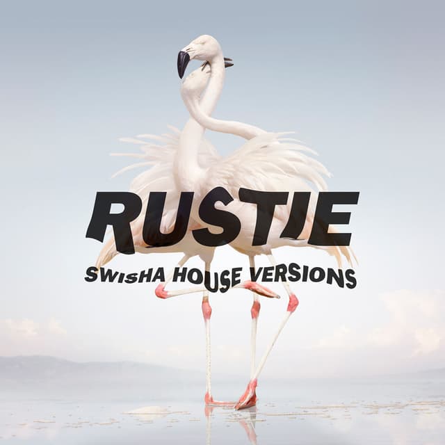 Green Language (The Swisha House Edits) cover