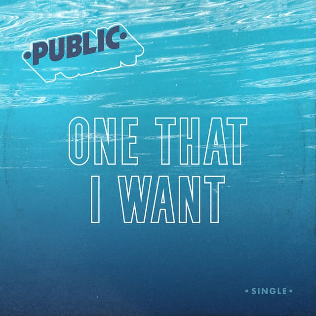 One That I Want cover