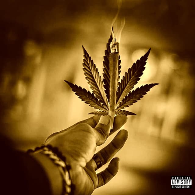 Cali Leaf cover