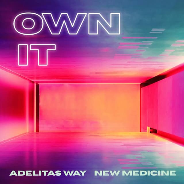Own It cover