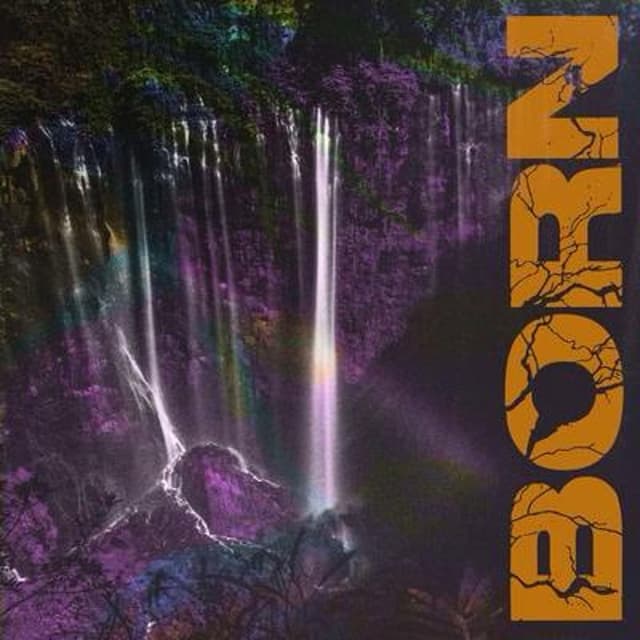 Born cover