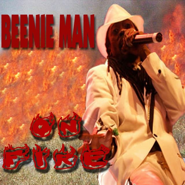 On Fire cover