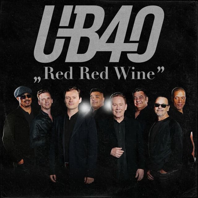 Red Red Wine (Rerecorded) cover