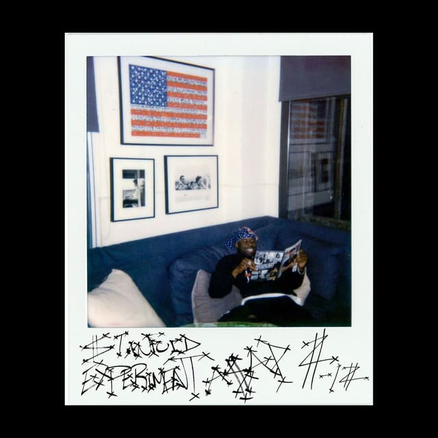 Stanford Experiment cover