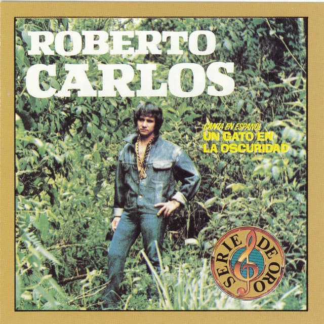 Un Gato En La Oscuridad cover