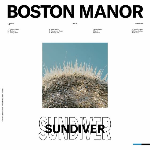 Sundiver album cover