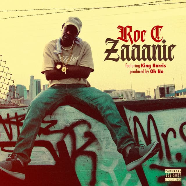 Zaaanie (feat. King Harris) cover