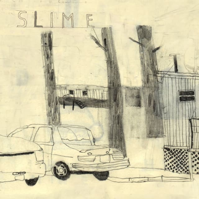 Slime cover