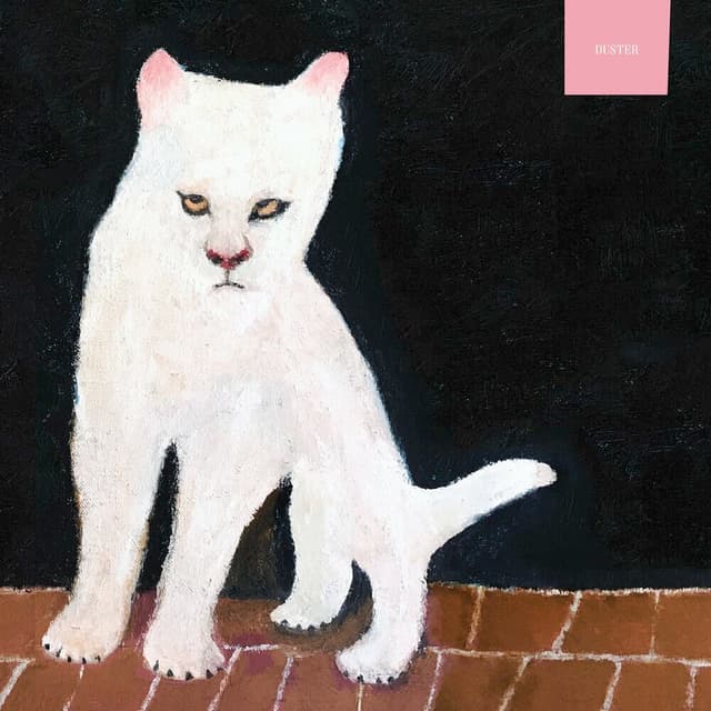 Duster cover