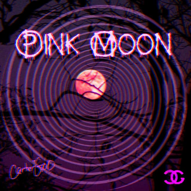 Pink Moon cover