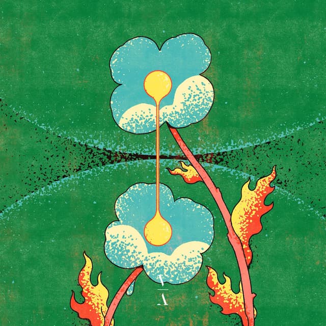 Tripwires cover