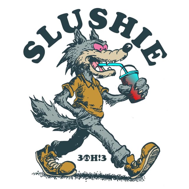 SLUSHIE cover