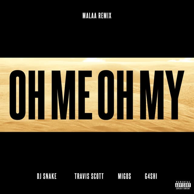 Oh Me Oh My (Malaa Remix) cover