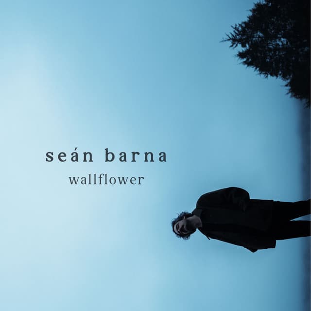 Wallflower cover