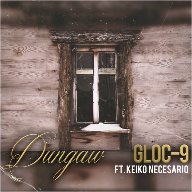 Dungaw cover