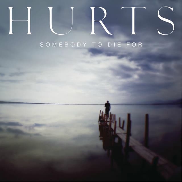 Somebody to Die For cover