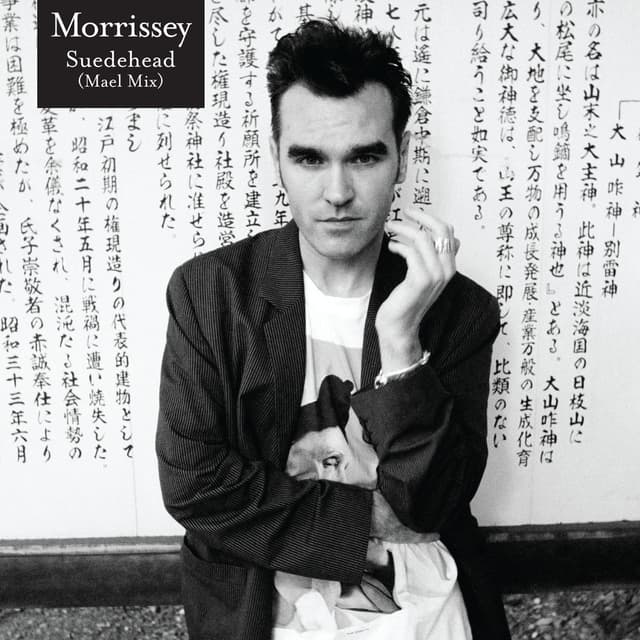 Suedehead (Mael Mix) cover