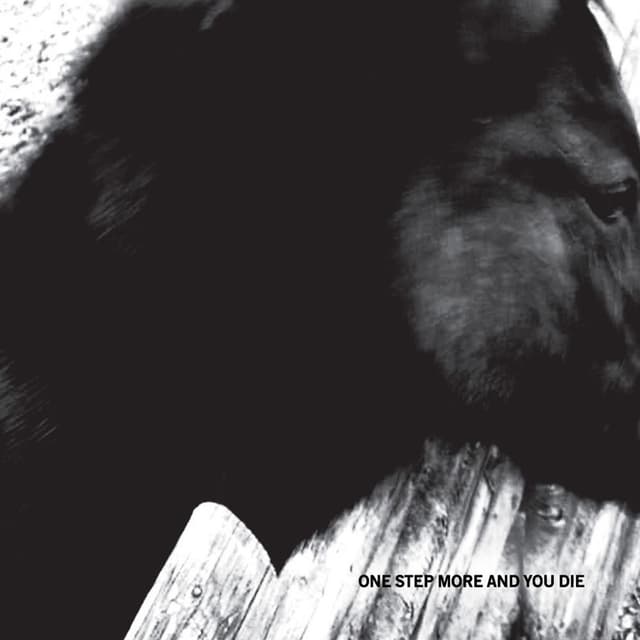 One Step More and You Die cover