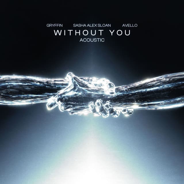 Without You (Acoustic) cover