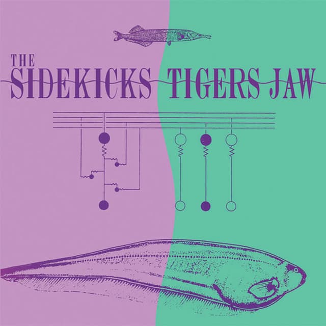 The Sidekicks/Tigers Jaw Split cover