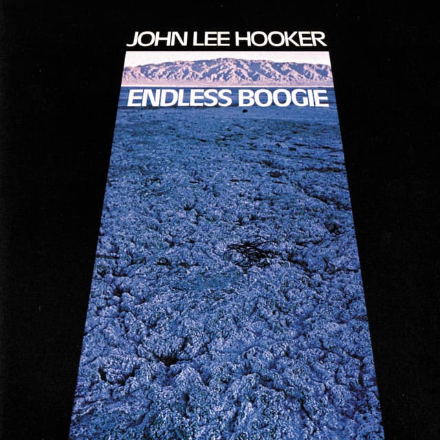 Endless Boogie cover