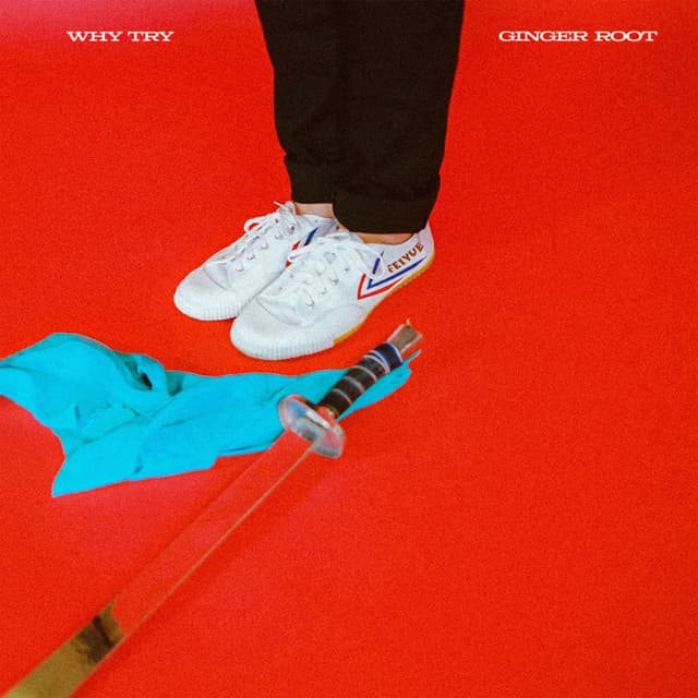 Why Try cover