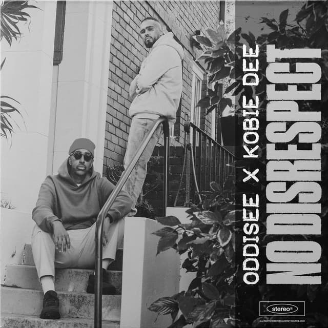 No Disrespect cover