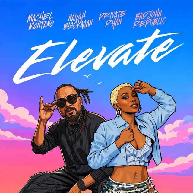 Elevate cover
