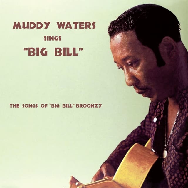 Muddy Waters Sings Big Bill cover