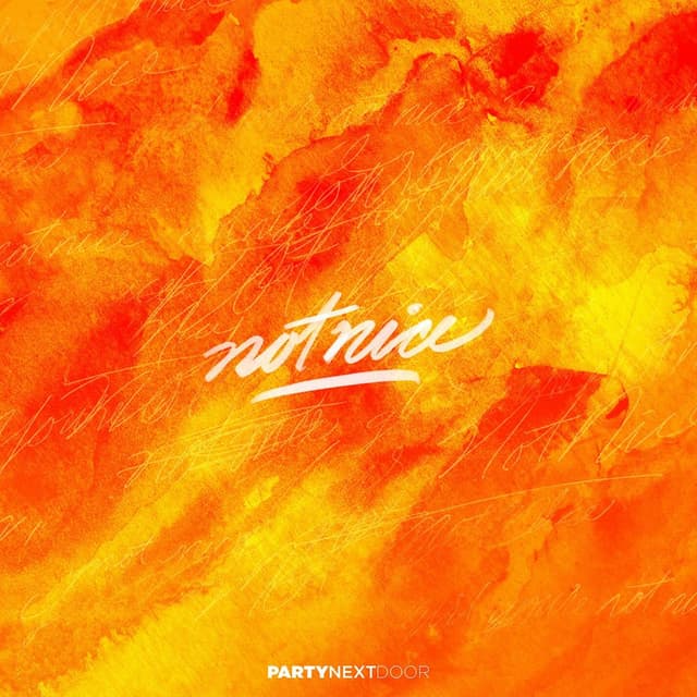 Not Nice cover