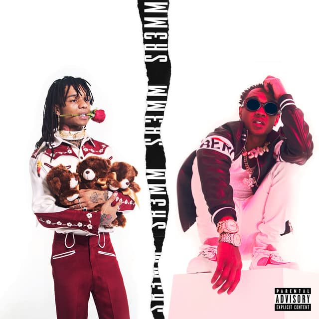 SR3MM album cover