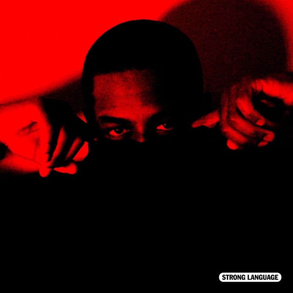 Burnt Bridges cover
