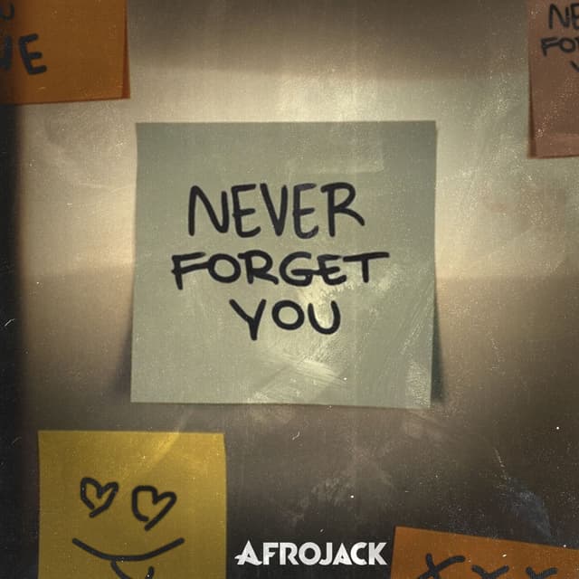 Never Forget You cover