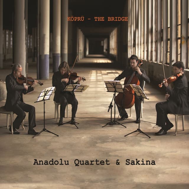 Köprü cover
