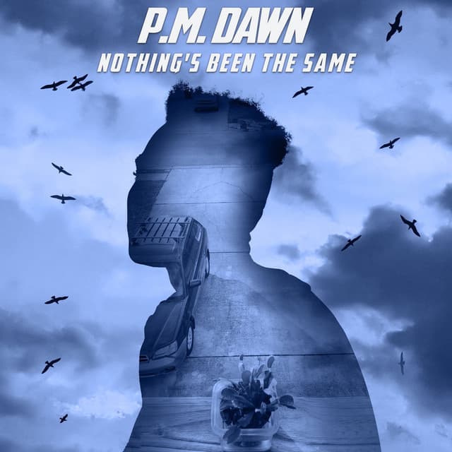 Nothing's Been the Same cover