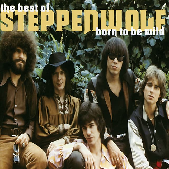Born To Be Wild (Best Of....) album cover