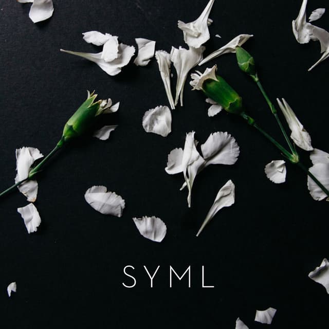 Meant to Stay Hid cover
